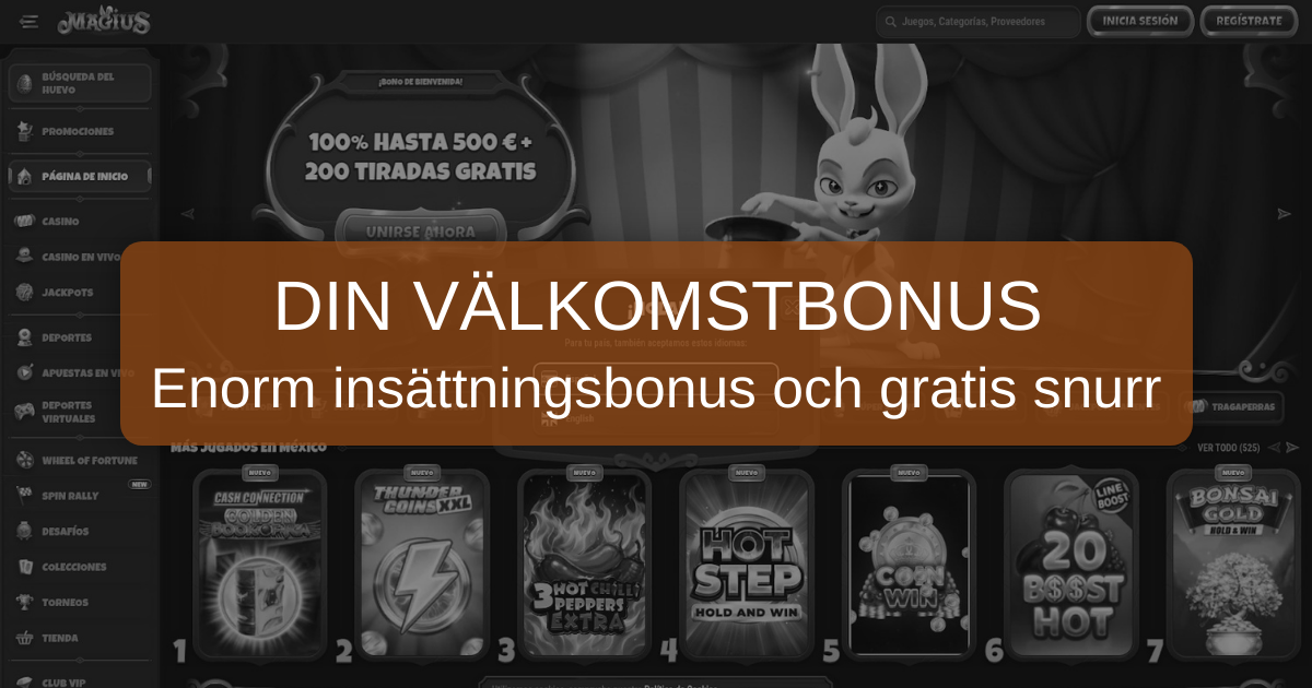 Magius Casino Sverige